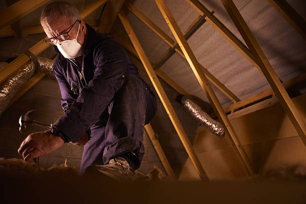 Best Insulation Maintenance and Repair in Tashua, CT